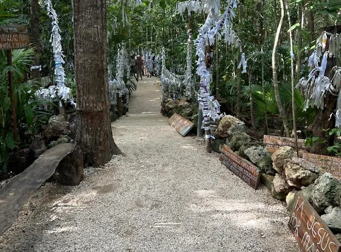 Vip Experience * Tulum